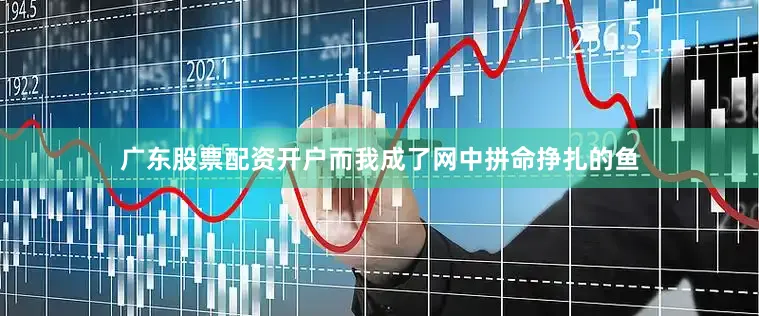 广东股票配资开户而我成了网中拼命挣扎的鱼