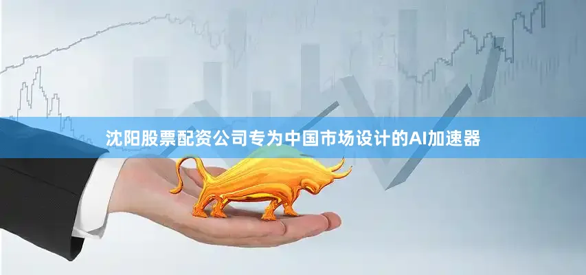 沈阳股票配资公司专为中国市场设计的AI加速器