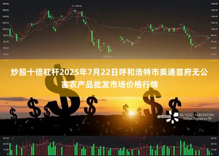 炒股十倍杠杆2025年7月22日呼和浩特市美通首府无公害农产品批发市场价格行情