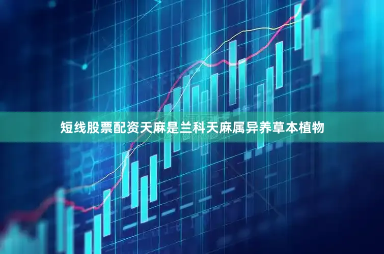 短线股票配资天麻是兰科天麻属异养草本植物